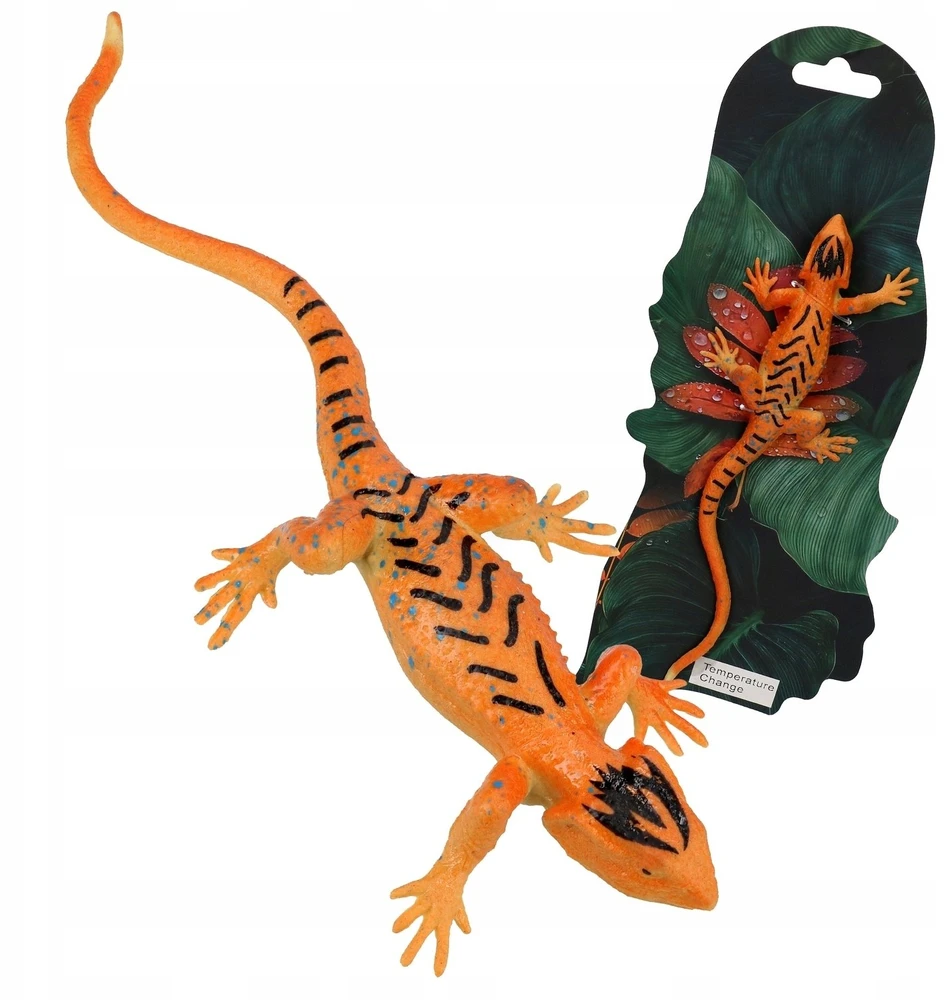 Swede Chameleonas keičiantis spalvą Q13024 19605