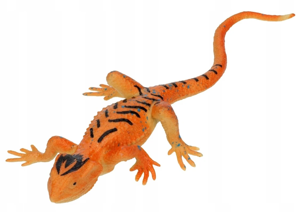 Swede Chameleonas keičiantis spalvą Q13024 19605