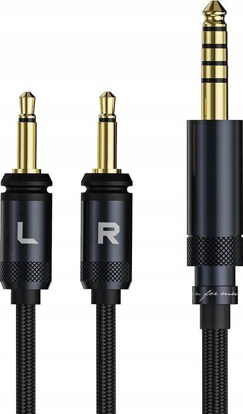 Kabelis FiiO Jack 3.5mm - Jack 3.5mm x2 1.5m juodas (6953175731351)