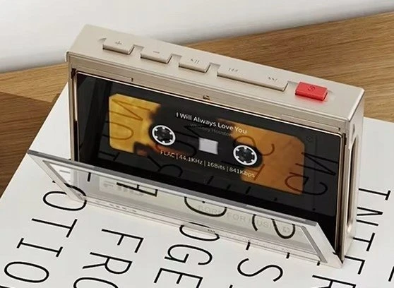 FiiO SK-M21C Retro Case – titano aukso spalvos – skirtas M21 grotuvui