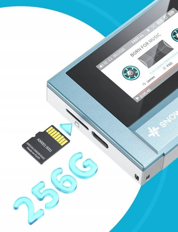 FiiO SNOWSKY ECHO* MINI - juodas - Nešiojamas Hi-Res Player