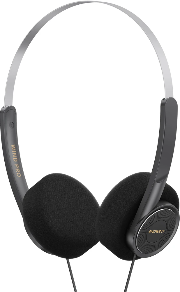 Ausinės FiiO Wind Pro juoda