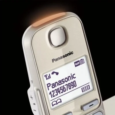 Panasonic KX-TGE262GN šampanas
