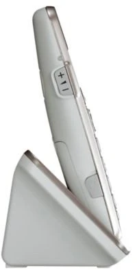 Panasonic KX-TGE262GN šampanas