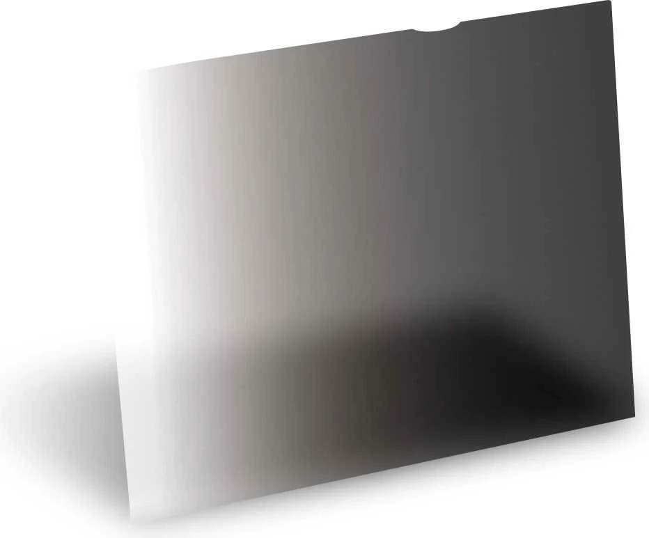 Filtras 3M Privatizavimas į 22 "(PF22W)