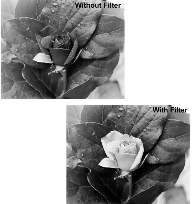 B+W filtras raudonas B+W Basic 090 Raudona Light 590 MRC 1102685 72mm