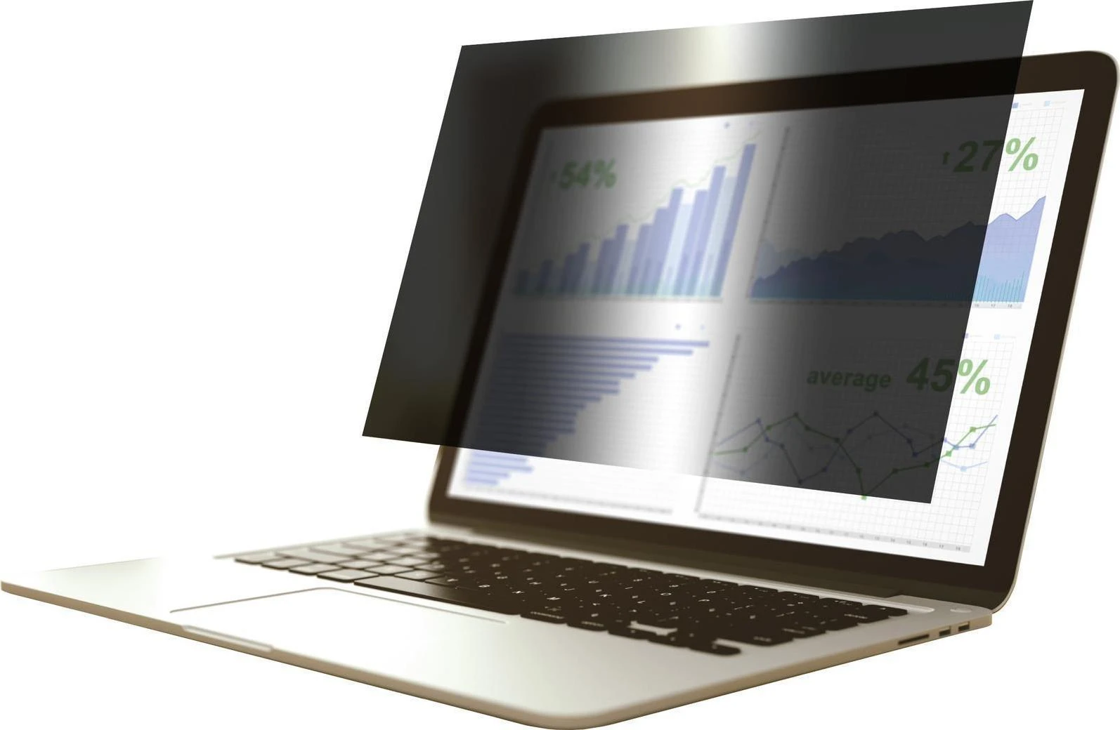 Filtras Gearlab Privatumo filtras 19.0 "