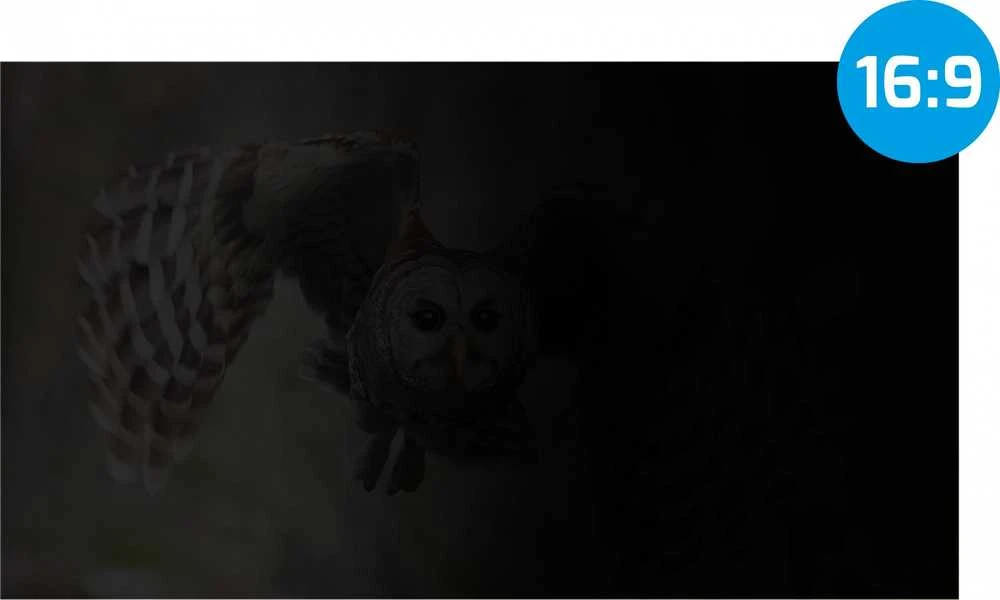 NATEC NFP-1476 privatumo filtras RODO OWL 21.5 colio 16:9