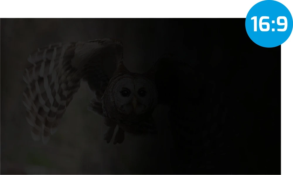 „Natec Owl“ 17,3' 16:9 (383 x 215 mm)