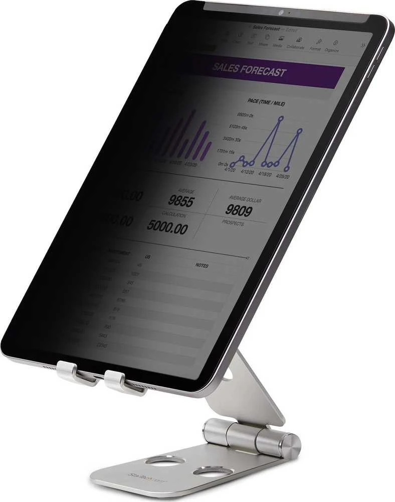 Monitorius Apple „StarTech 11IP“ privatumo ekranas / 11 colių „iPad Pro“ privatumo ekranas