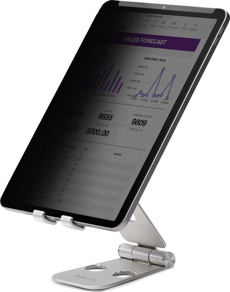 StarTech 129IP-PRIVACY-SCREEN/12.9 IPAD PRO PRIVACY SCREEN
