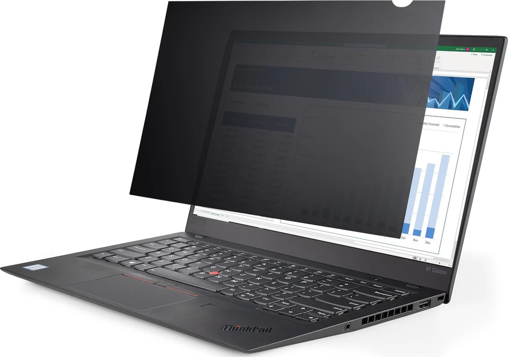 StarTech 17.3 LAPTOP PRIVACY FILTER/.