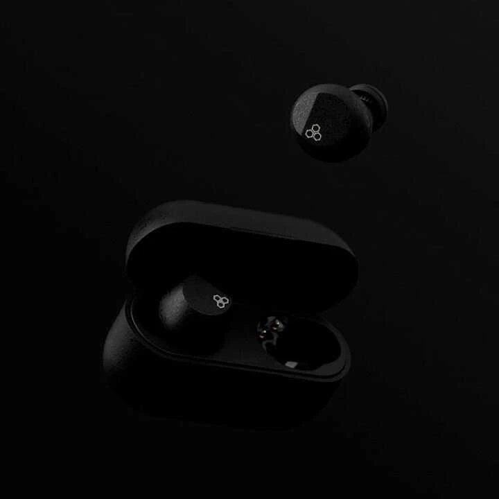 Final Audio ZE3000 juodos ausinės su dėklu