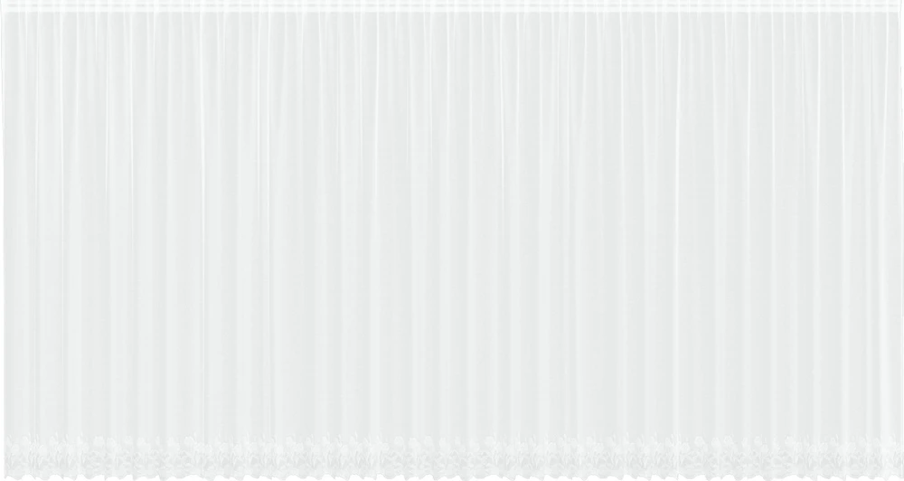 Nėrinių Užuolaida Balta 300 x 900 cm Poliesteris