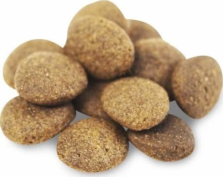 Šunų Maistas - FISH4DOGS Superior Senior Medium Complete lašiša 12kg Grain-Free