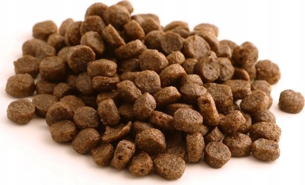 Sausas šunų maistas - FISH4DOGS Superior Senior lašiša 1,5kg begrūdis