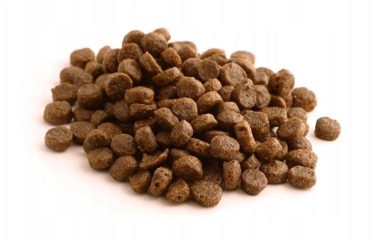 Šunų maistas - FISH4DOGS Superior Senior lašiša 6kg Be glitimo Mažų veislių