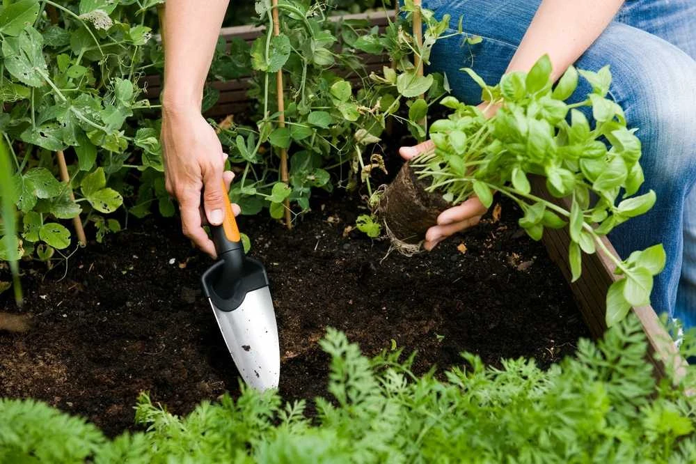 Fiskars Kastuvėlis 1000726