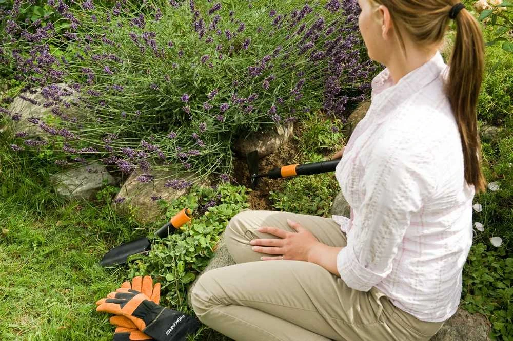 Fiskars QuikFit Trumpas kotas