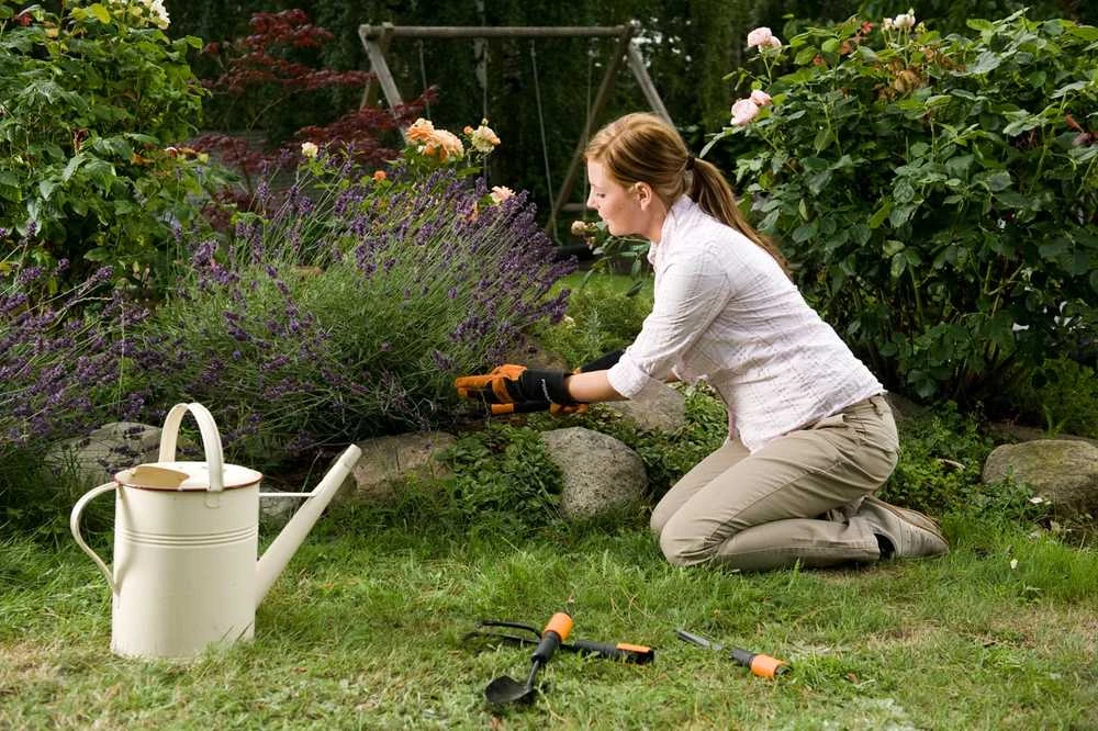 Fiskars QuikFit Trumpas kotas