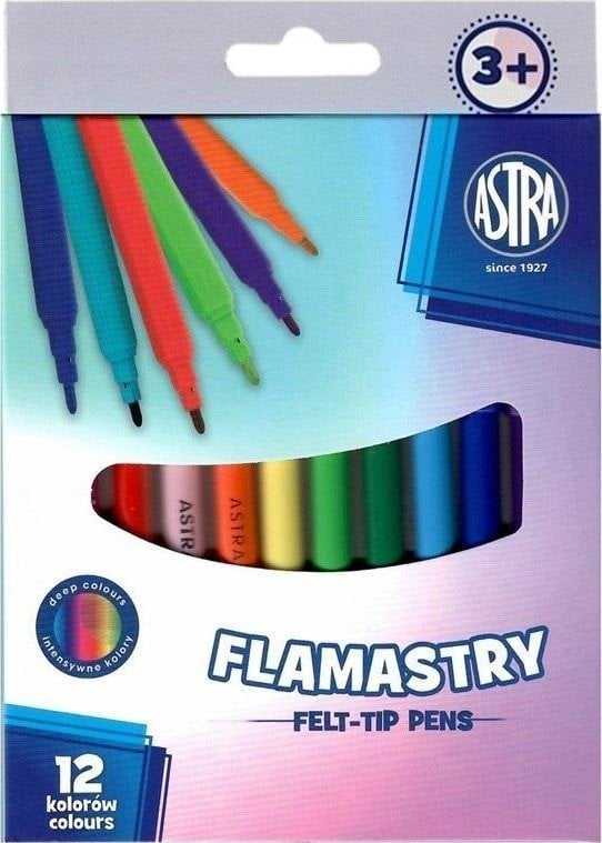 Astra flomasteriai mokyklai, Pastel Line markeriai, 12 spalvų KARTONĖJE DĖŽĖJE
