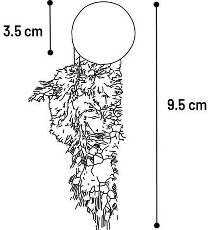 Flamingo Katti Catnip kamuoliukas su plunksnomis žalias 2 vnt.