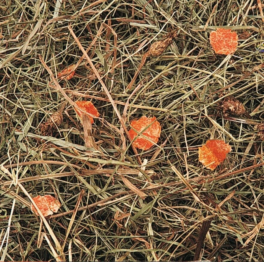 Flamingo kalnų šienas su morkomis 500g