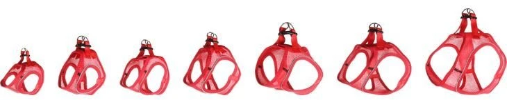 Flamingo Šuns petnešos STEP&GO BENTO raudonos 22-23/24-25CM