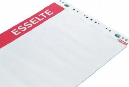 Konferencijų bloknotas ESSELTE, 590 x 830 mm, lygus, 50 lapų