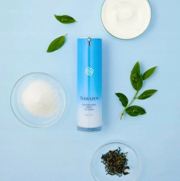 Terrazen Aqua Recharge Moist Gel Kreminis drėkinamasis kremas sausai veido odai, gelinės konsistencijos, 60 g