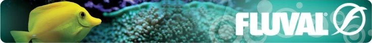 Fluval 207/307 Bio foam mėlyna kempinė (2vnt)