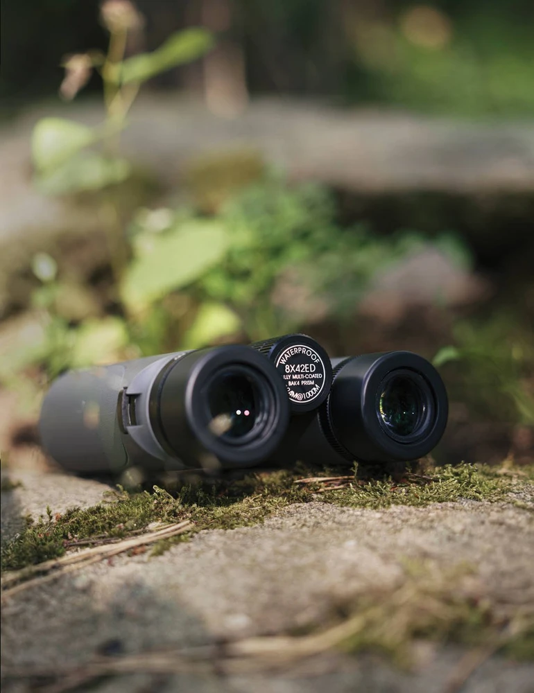 Focus Optics Focus Focus Observer 8x42 ED žiūronai