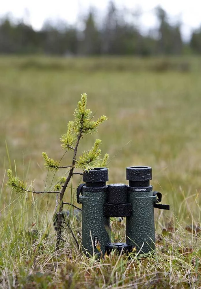Focus Observer 8x50 HD žiūronai