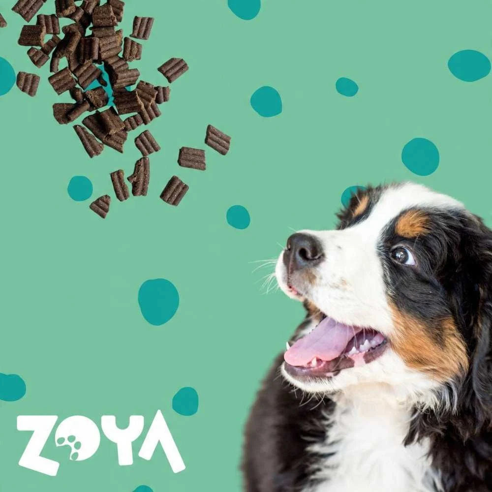 ZOYA ColdPRO Deer – sausas Maistas šunims – 3kg