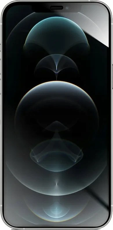 Hibridinis stiklas iPhone 12 PRO MAX Forcell Flexible 5D juodas