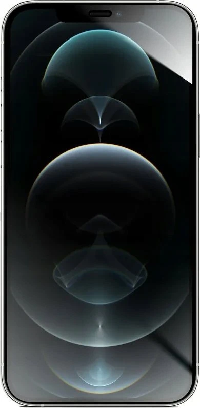 Hibridinis stiklas iPhone XS MAX / 11 PRO MAX Forcell Flexible 5D juodas