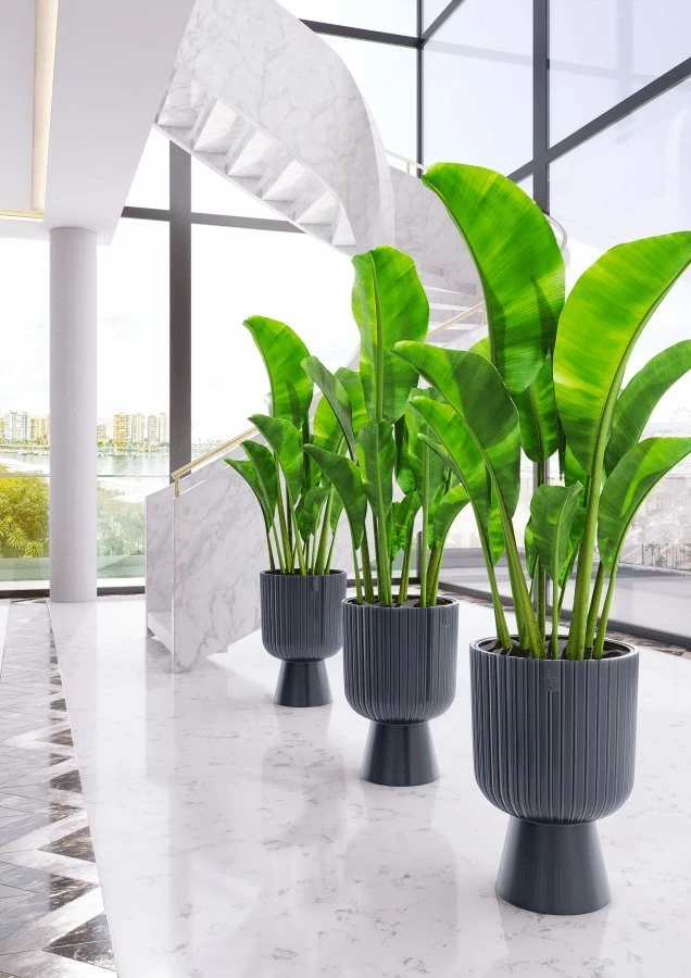 FORM PLASTIC Gėlių vazono forma plastikinė KELI MIKA 5130-014, plastikas, antracito spalvos