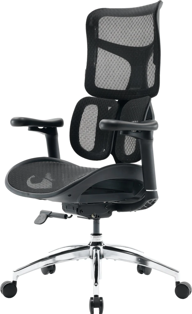 Sihoo DORO S100 Mesh fotel biurowy juoda