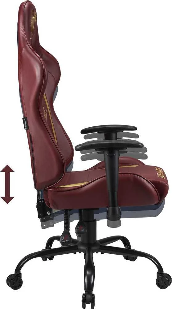 Subsonic Pro Žaidimų kėdė Harry Potter
