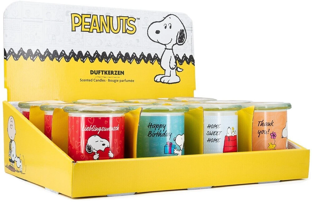 Peanuts Žemės riešutai Thekendisplay 12 x 250g