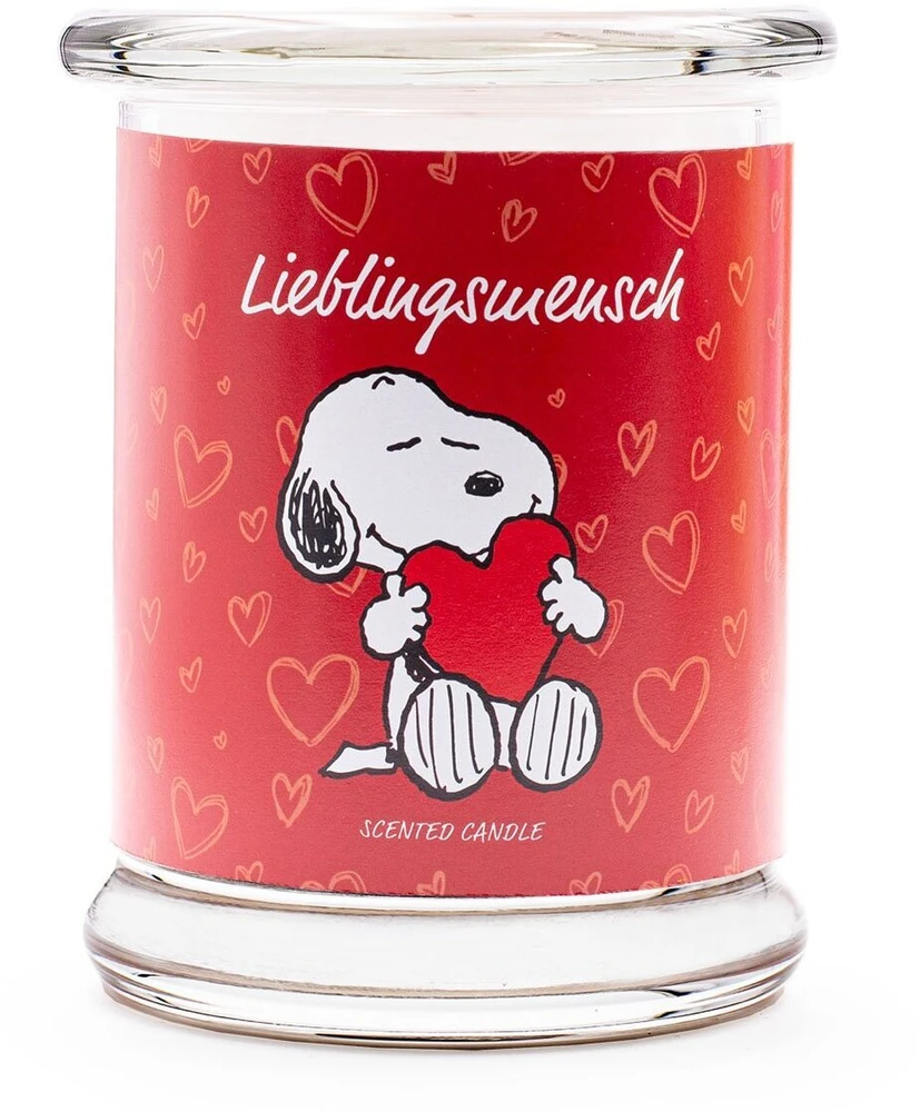 Peanuts Žemės riešutai Thekendisplay 12 x 250g