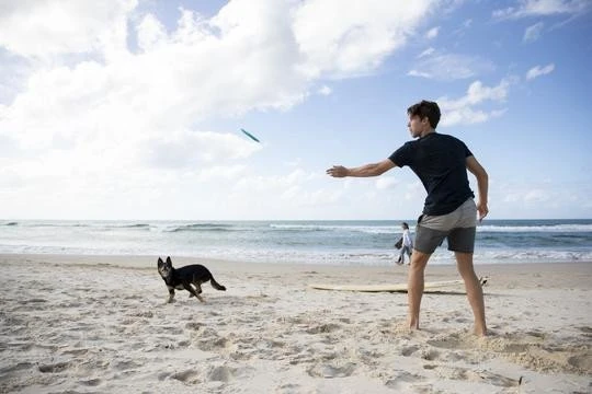 Waboba Jetwag dog frisbee