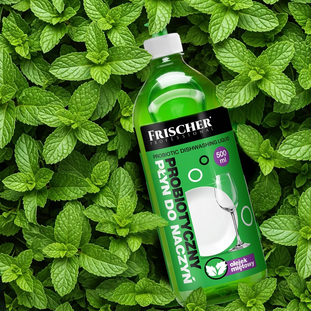 „Frischer“ indų ploviklis su pipirmėčių aliejumi, 500 ml