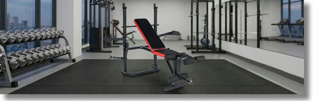 Funfit Treniruoklių suolas su štanga