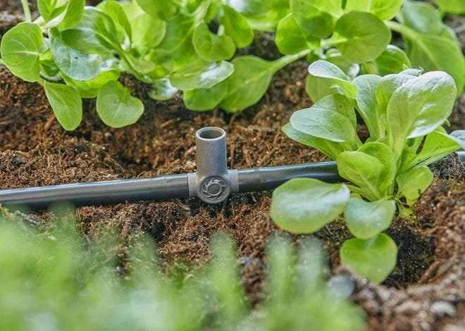 Gardena Micro-Drip-System 13216-20 - 5 vnt.