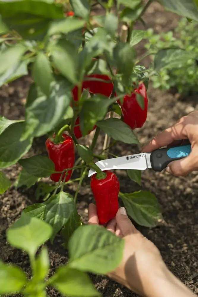 Gardena 4066407003163