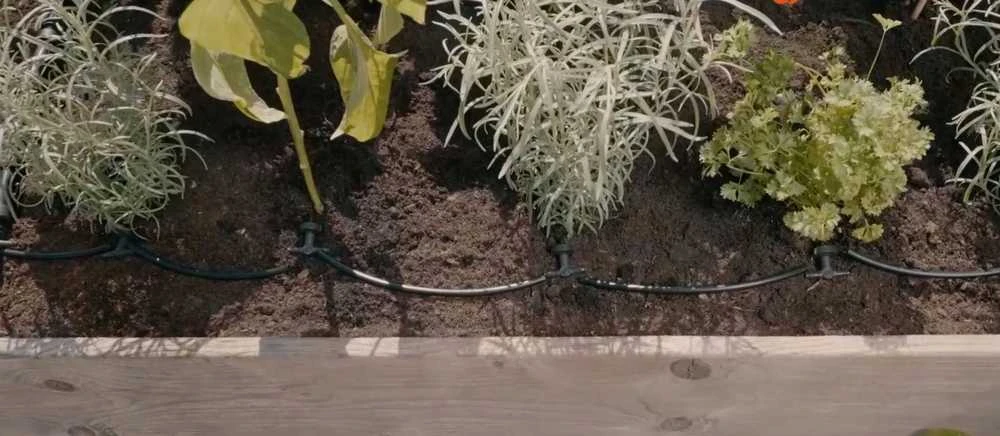 Gardena Pradinis rinkinys lysvėms/pakeltoms lysvėms (35 augalams)