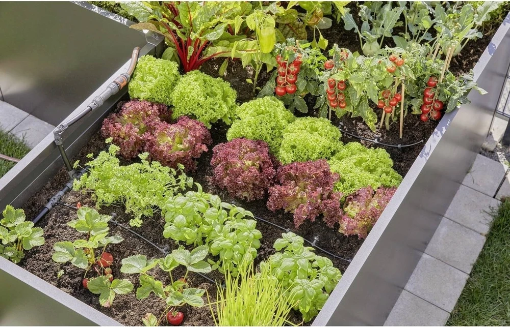 Gardena Lašelinio drėkinimo rinkinys balkonams (15 augalų)