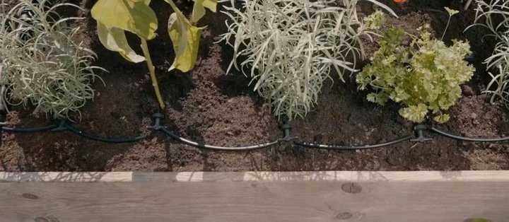Gardena Lašelinio drėkinimo rinkinys balkonams (15 augalų)
