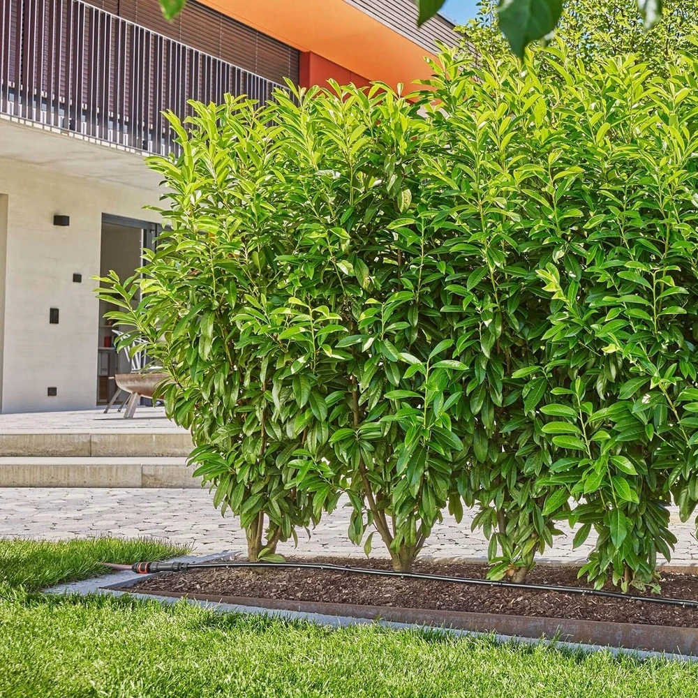 Gardena Lašelinio drėkinimo rinkinys krūmams/gyvatvorėms (25m)